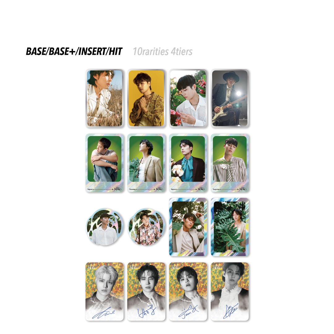 The Rose 1st Edition Collection Box